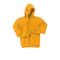 Port & Company® Colors Essential Fleece Pullover Hooded Sweatshirt